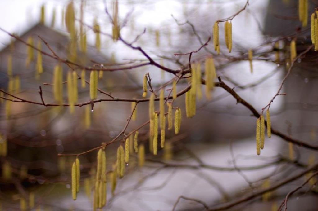 Autors: www.delfi.lv