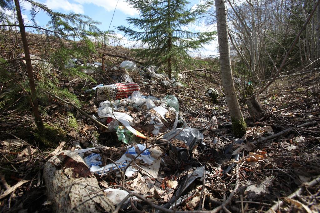 Autors: Gatis Bogdanovs