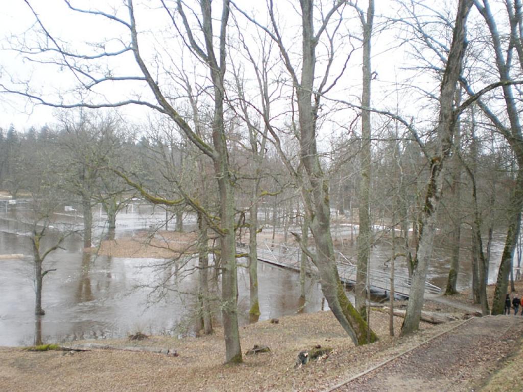 Autors: Marta Mikolaja