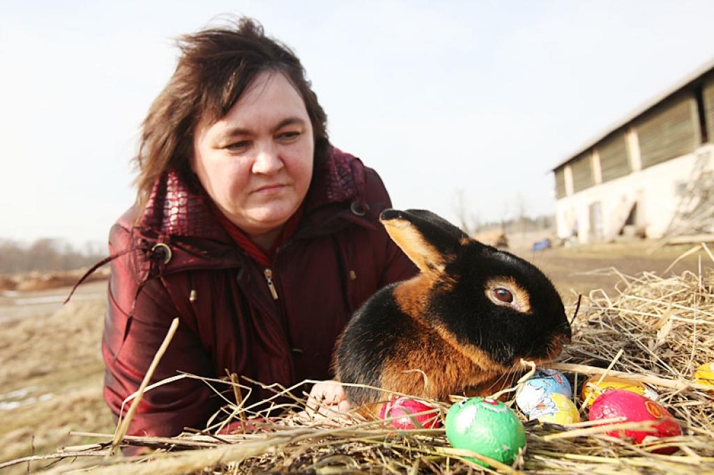 Autors: Gatis Bogdanovs