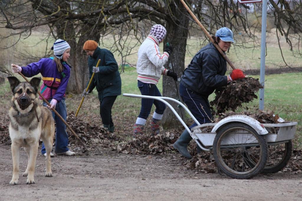 Autors: Gatis Bogdanovs