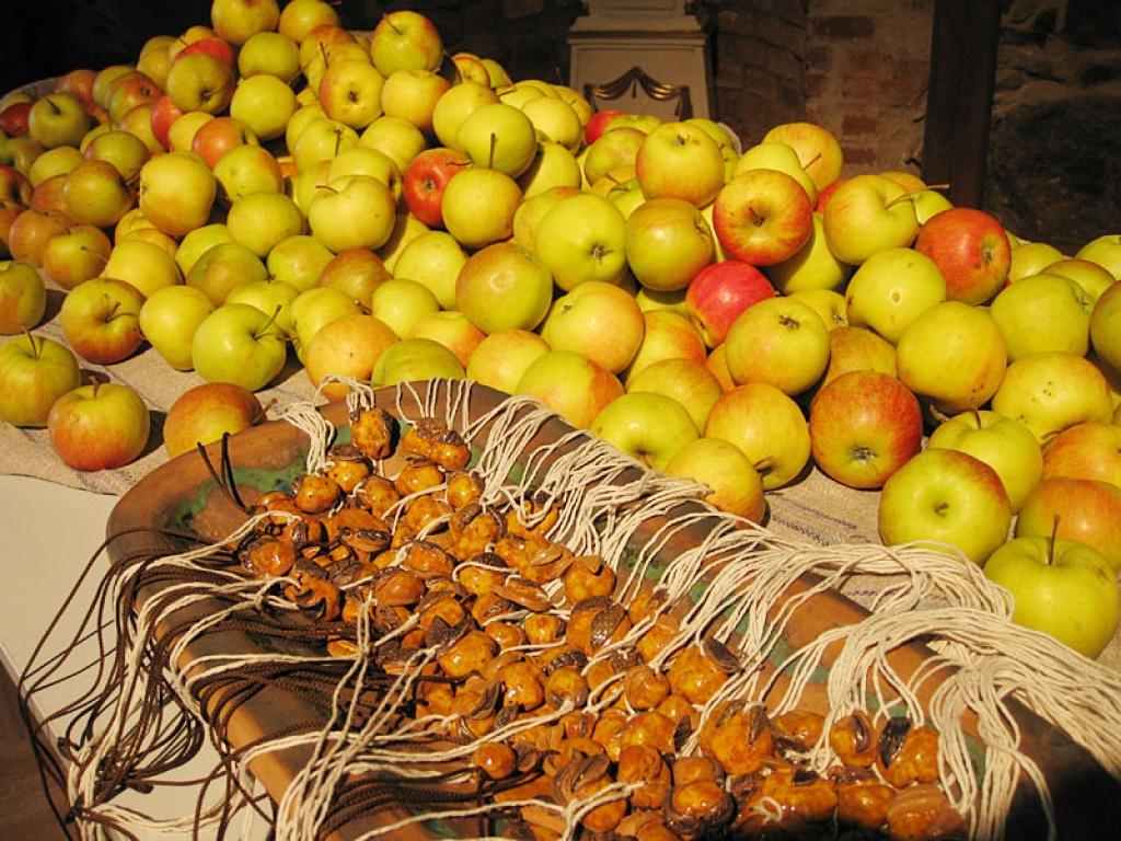 Autors: Malda Ilgaža