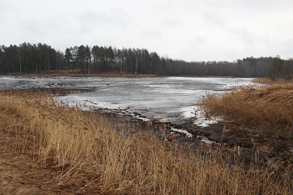 Autors: Gatis Bogdanovs