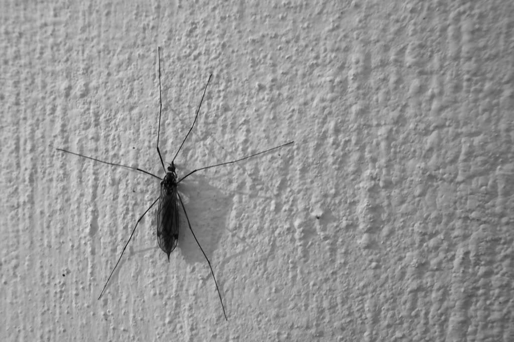 Autors: http://media.photobucket.com