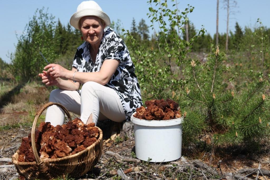 Autors: Gatis Bogdanovs