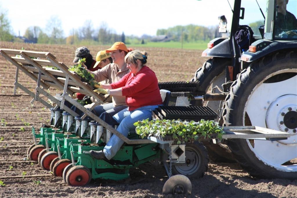 Autors: Gatis Bogdanovs