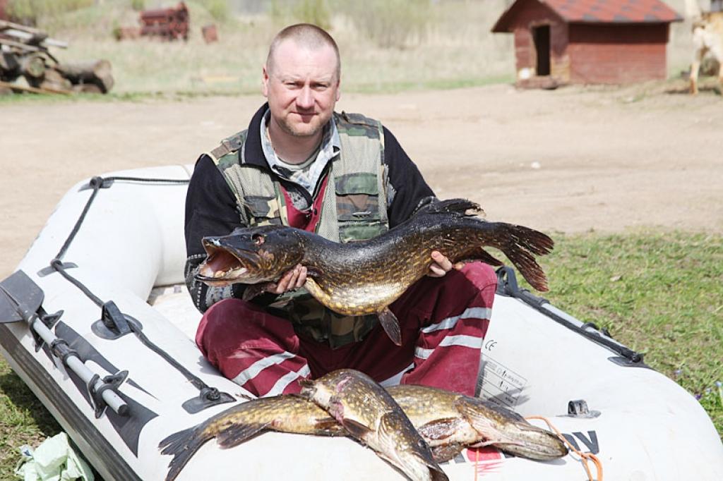 Ļoti veiksmīga spiningošanas sezonas atklāšanas diena izrādījās Beļavas pagasta iedzīvotājam Jolantam Bukovskim. Viņš šajā dienā makšķerēt bija devies uz Ušura ezeru. 
Autors: Gatis Bogdanovs