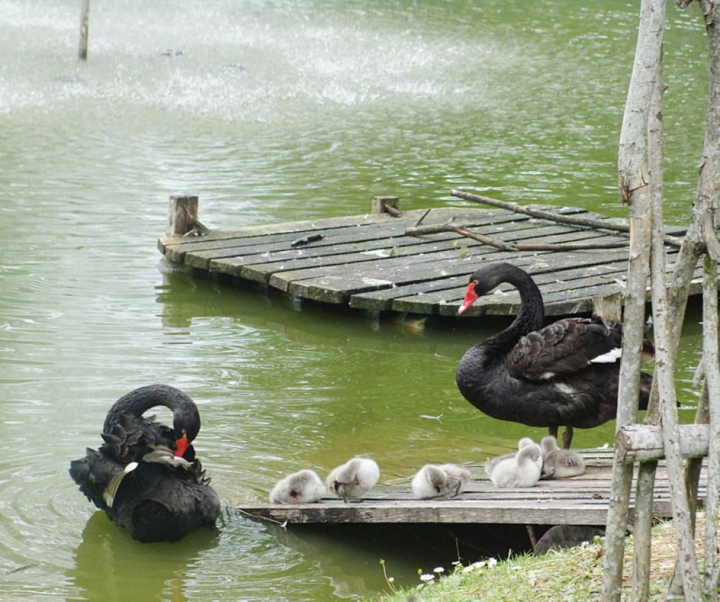 Autors: Ieva Karlsberga