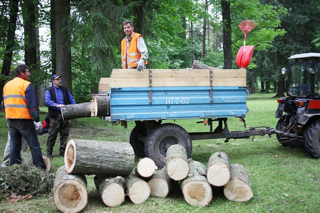 Gulbenē, Jaunatnes parkā, sestdienas vētra pievarējusi senu egli, kurai izrādījās satrunējis dobums.
Autors: Gatis Bogdanovs