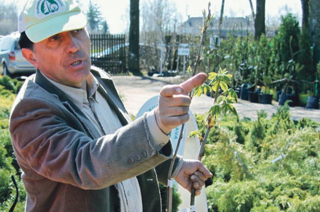 Autors:  Foto: Agris Samcovs