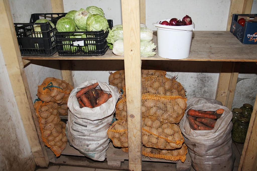 Mazdārziņu īpašnieki un lauku iedzīvotāji turpmāk bez reģistrācijas Pārtikas un veterinārajā dienestā ar atvieglotām higiēnas prasībām nelielā apjomā varēs pārdot pašu izaudzētos dārzeņus, ogas, bērzu un kļavu sulas, kā arī pašu salasītos augu izcelsmes produktus, piemēram, riekstus, sēnes, augus.
Autors: Gatis Bogdanovs