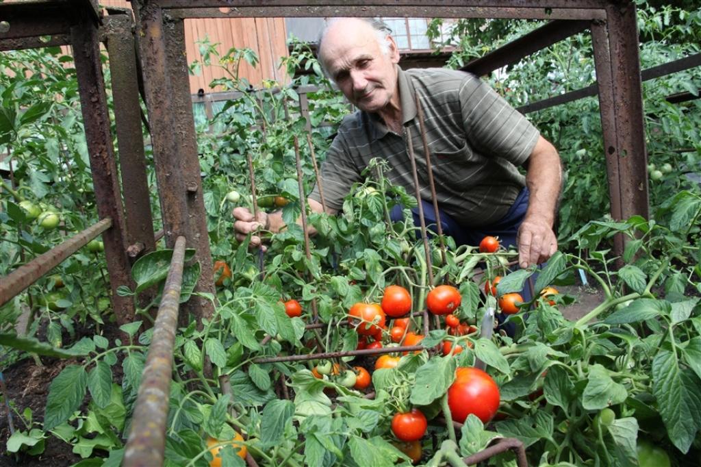 Autors: Gatis Bogdanovs