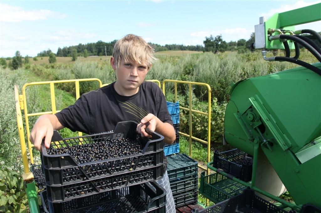 Autors: Gatis Bogdanovs