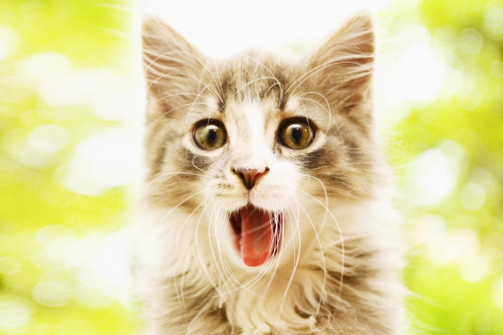 Autors: www.uzdevumi.lv