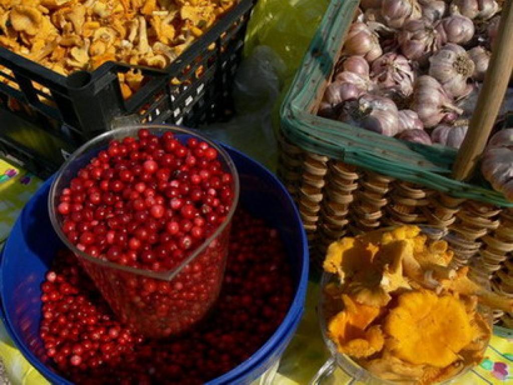 Autors: www.straupe.lv