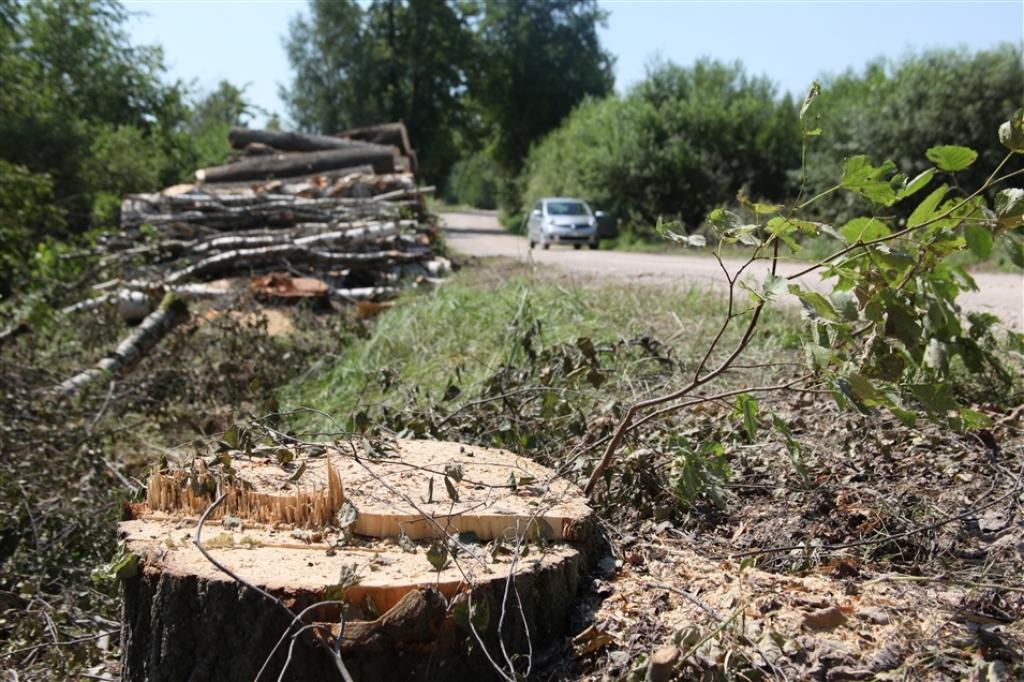 Autors: Gatis Bogdanovs