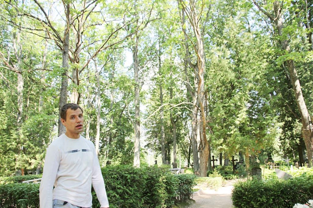 Tā kā gulbenieša Kaspara Ozera darbs saistās ar apbedīšanas pakalpojumu sniegšanu, tad arī viņš ir ievērojis, ka Vecajos kapos, ir vietas, kur sarežģīti un pat neiespējami piekļūt ar attiecīgo tehniku, lai izgrieztu vecos, nokaltušos kokus.
Autors: Gatis Bogdanovs