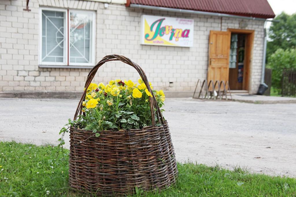 Autors: Gatis Bogdanovs