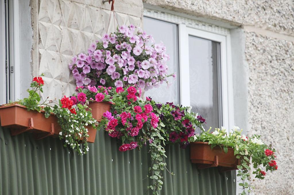 Autors: Gatis Bogdanovs