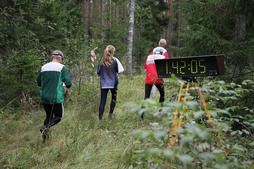 Autors: Gatis Bogdanovs