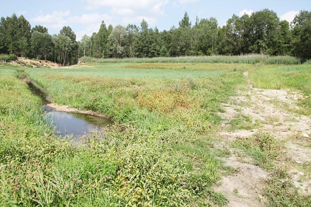 Pašreiz Plēķu dīķis izskatās šādi, taču īpašnieki saka, ja viss izdosies, kā iecerēts, ūdenskrātuve tiks atjaunota.
Autors: Gatis Bogdanovs