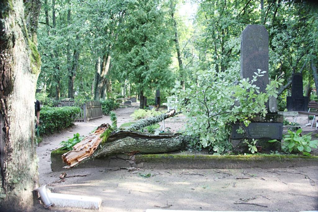 Gulbenes vecajos kapos svētdienas vētra sagāzusi daudz zaru un arī no vietas izkustinājusi dažus kokus. 
Autors: Gatis Bogdanovs