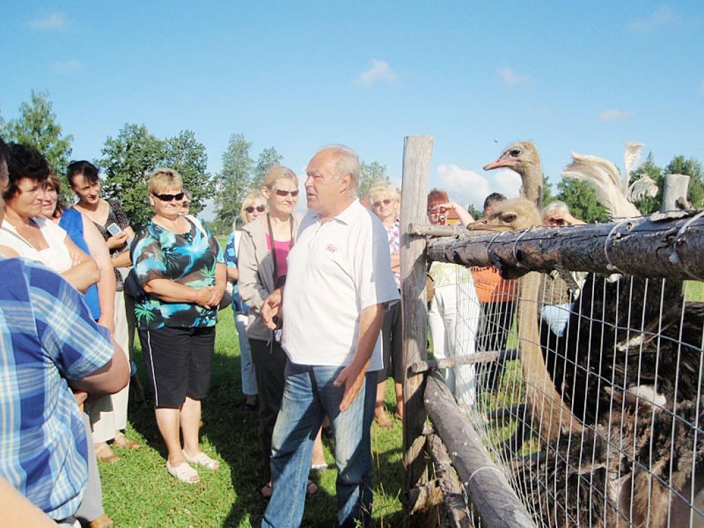 Brauciena dalībniekiem zemnieku saimniecības 