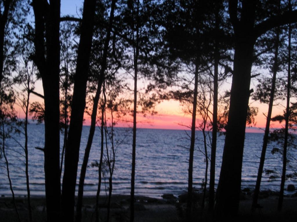 Autors: Tamāra Ulase