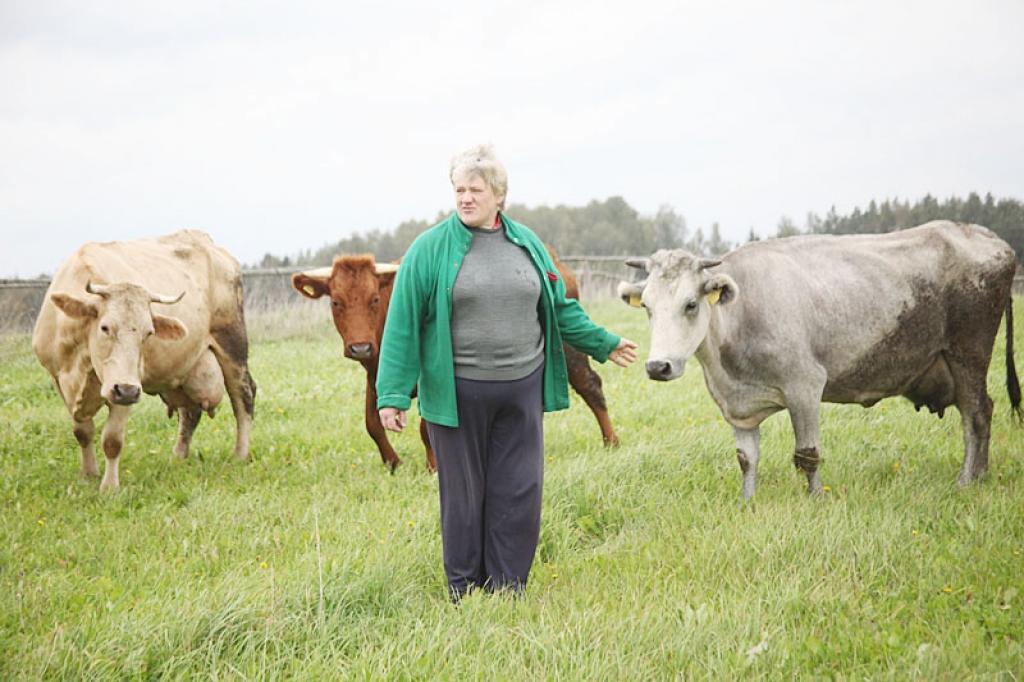 Beļavas pagasta piemājas saimniecības īpašniece Brigita Lāce var salīdzināt, kuras šķirnes govis ir vislabākās. Viņa atzīst - kā tās baro un kopj, tāds ir rezultāts. 
Autors: Gatis Bogdanovs 