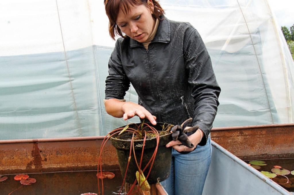 Autors: Agris Samcovs