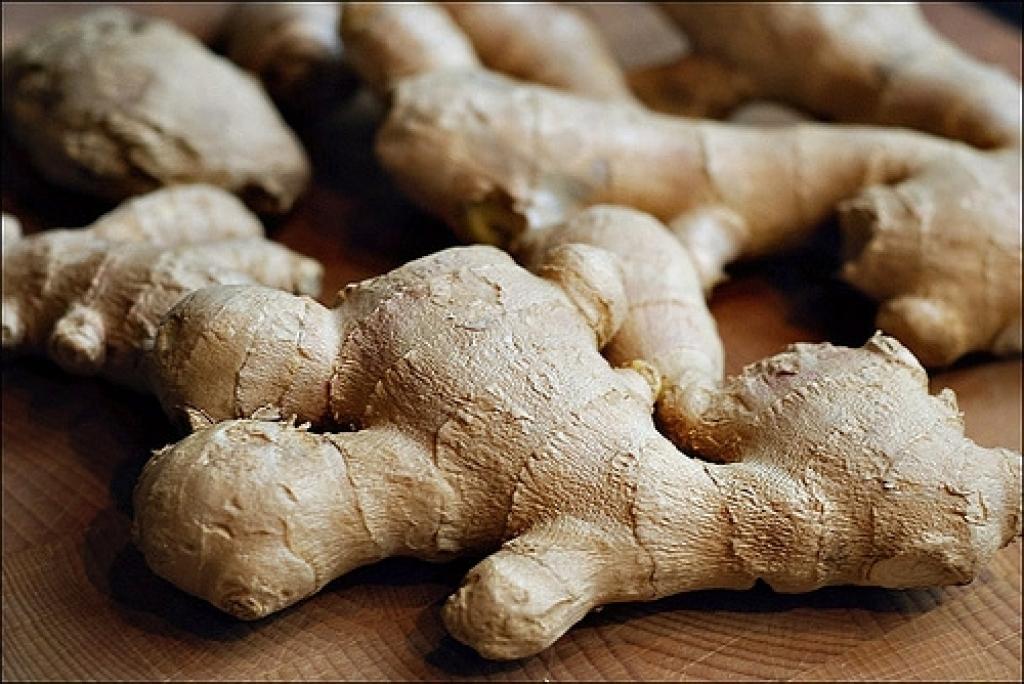 Autors: no interneta