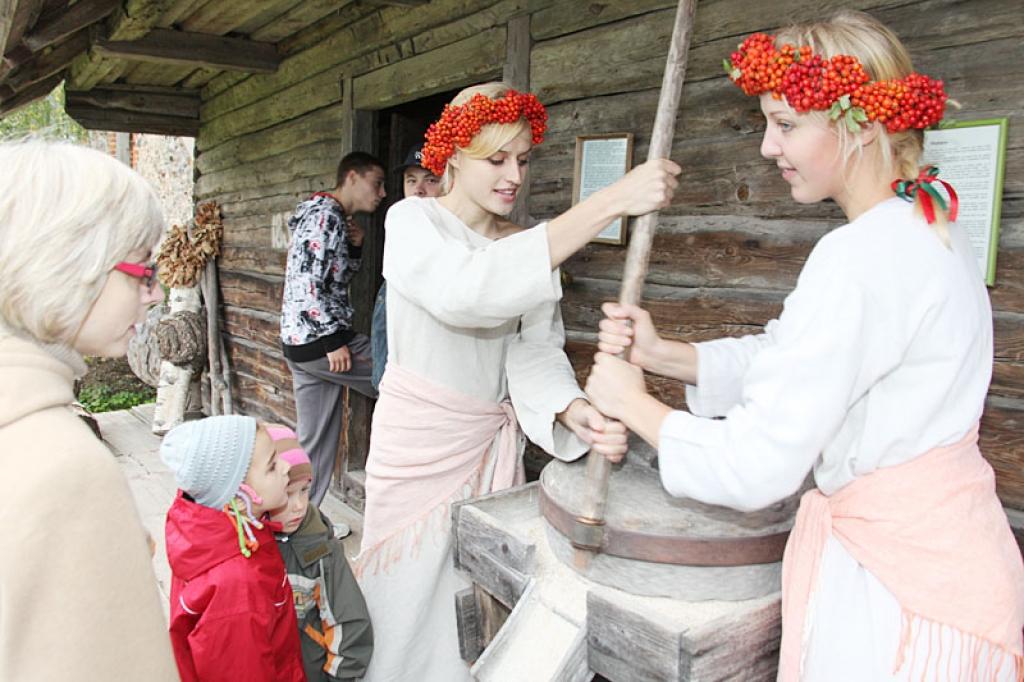 Tirzas jauniešu teātra dalībnieces mala gan graudus (attēlā), gan arī cigoriņus.
Autors: Gatis Bogdanovs