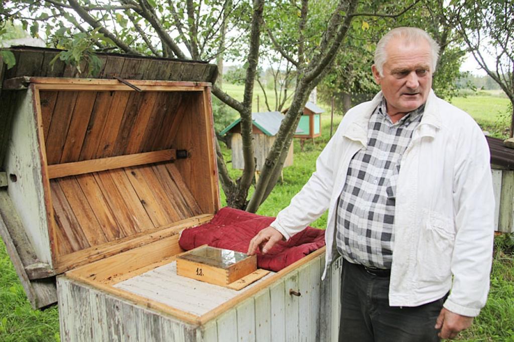 “Man tēvs teica: “Pavasarī saliec pilnu stropu ar rāmjiem. Jo bites mazāk traucē, jo labāk. Ja bites iztraucē, tās saceļ kaujas trauksmi un kuņģī uzsūc vismaz trīs dienu medus daudzumu barības rezervei. Tas nozīmē, ka traucējuma dienā saimei ienesuma nebūs,” saka biškopis Juris Slaucītājs.
Autors: Gatis Bogdanovs 