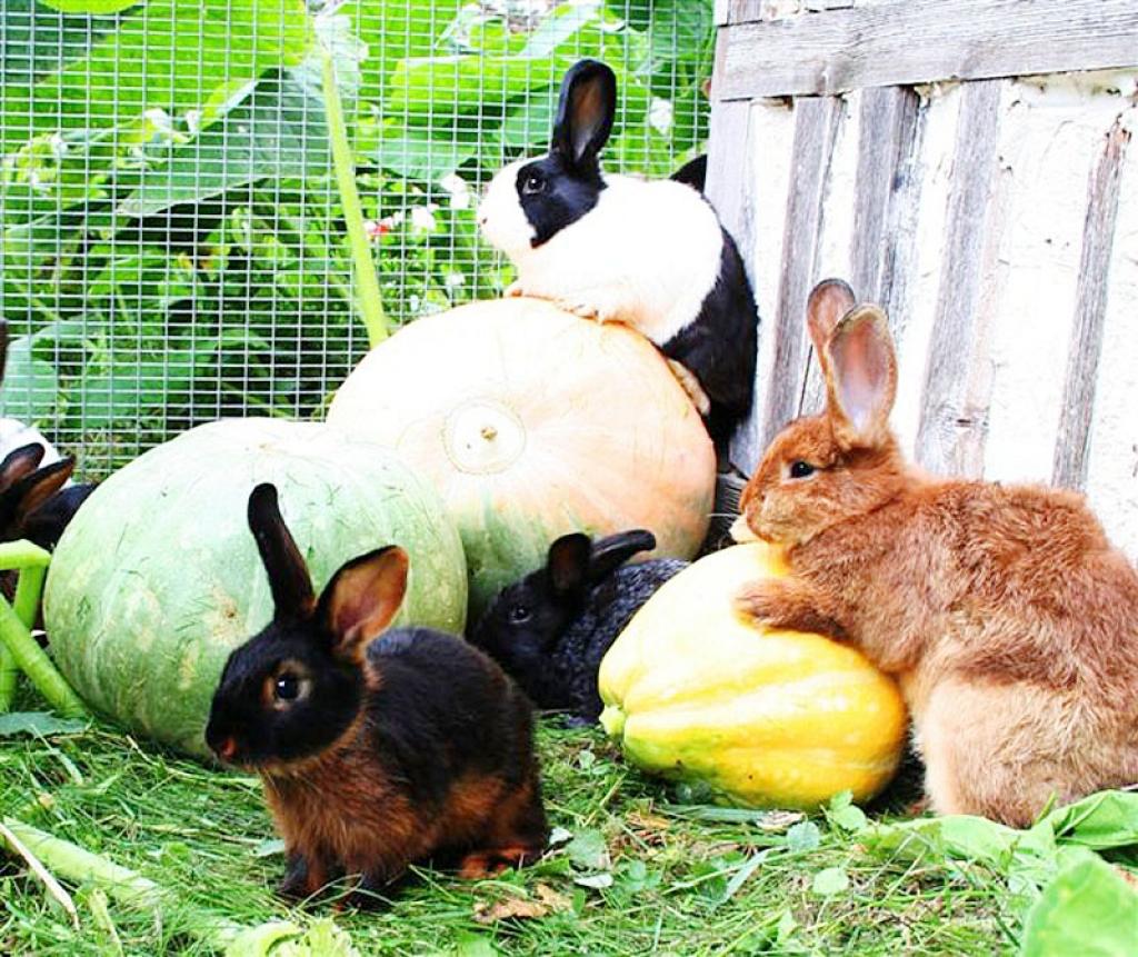 Autors: No personiskā albuma