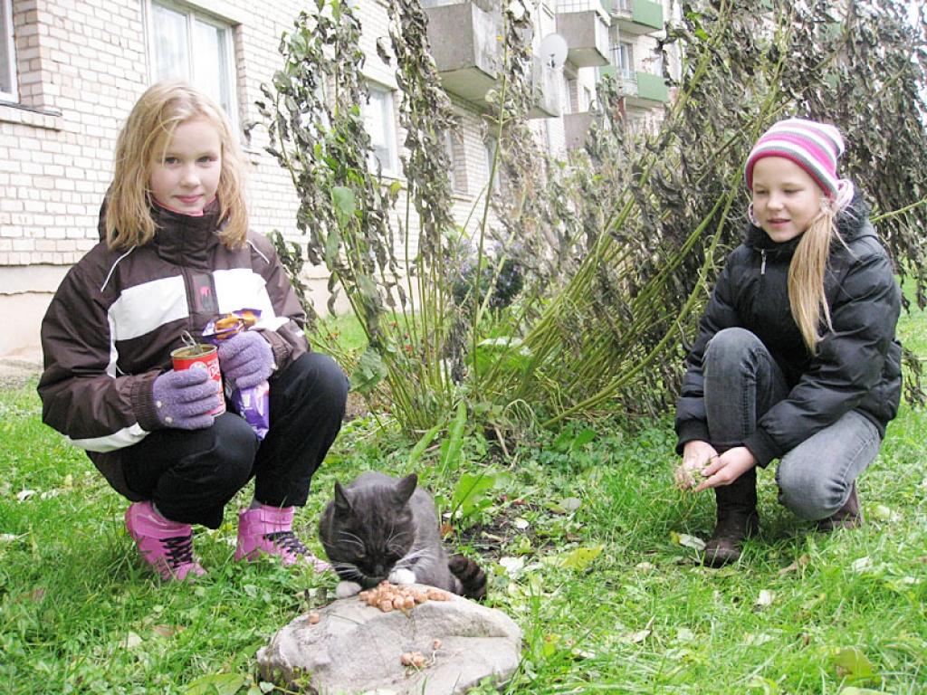 Pūciņa – tā mīļi meitenes nosaukušas vienu no kaķīšiem, kuru regulāri nāk barot Skolas ielas dzīvojamā kvartālā. Ir vai nav Pūciņa klaiņotāja, to mazās gulbenietes Signe un Veronika nedomā. Viņām pietiek ar sajūtu, ka jāpabaro izsalcis dzīvnieks. 
Autors: Diāna Odumiņa