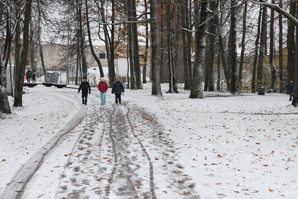 Šorīt mūs visus pārsteidza jau neliela sniega sega, kas pēcpusdienā gan jau bija nokususi. 
Autors: Evita Brokāne