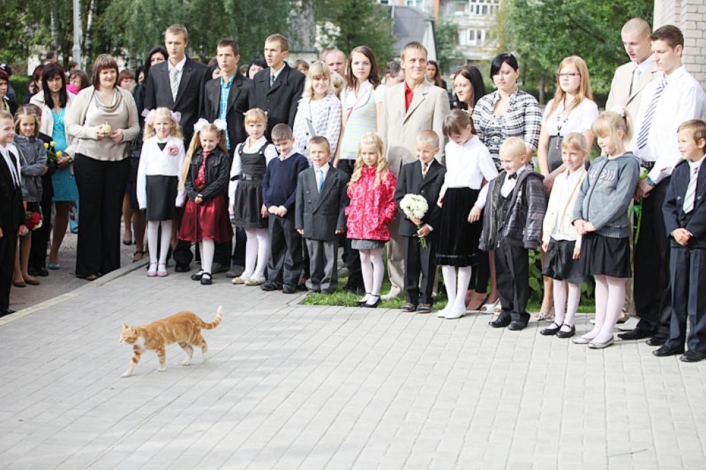 Šiem Gulbenes vidusskolas audzēkņiem vēl ir laiks, lai izlemtu, ko viņi darīs pēc skolas absolvēšanas.
Autors: No arhīva