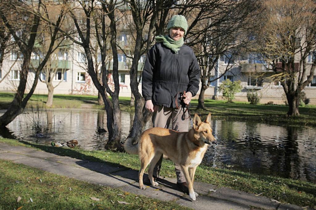 Lola Dzirkstīte kopā ar savu saimnieci Diānu Odumiņu katru dienu ne tikai pastaigājas, bet pavadiņā skrien krosu pa pilsētas ielām.
Autors: Gatis Bogdanovs 