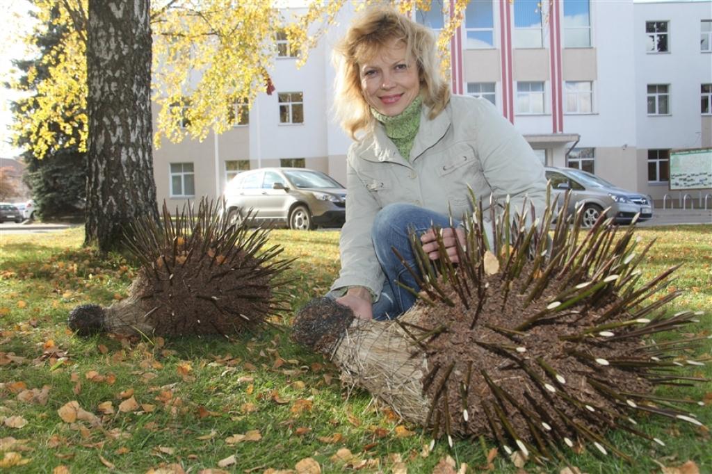 Atliek cerēt, ka cilvēki pratīs novērtēt šos jaukos floristes Ineses Baumanes veidojumus pilsētas centrālajā skvērā.
Autors: Gatis Bogdanovs