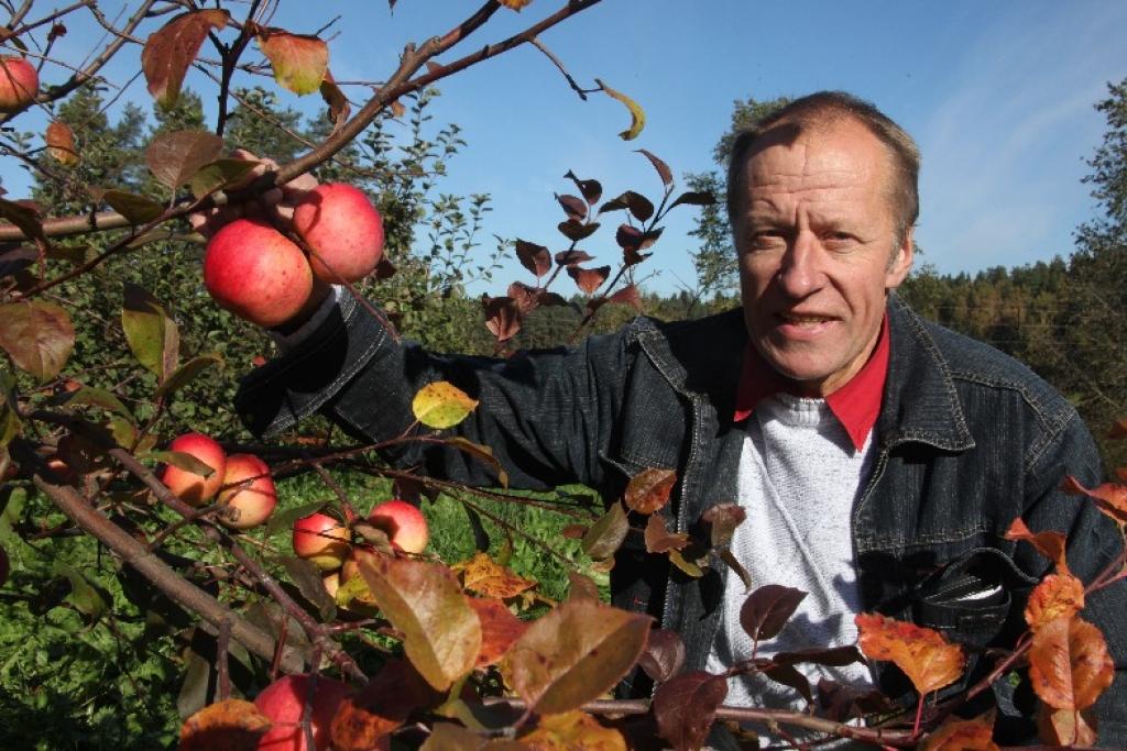 Autors: Gatis Bogdanovs