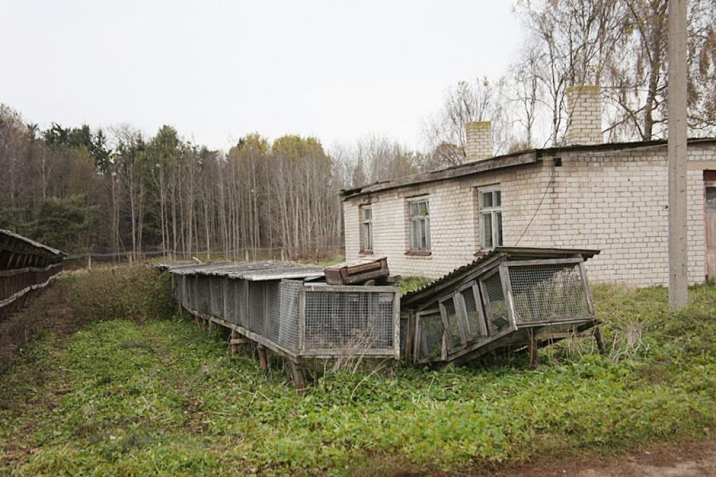 Autors: Gatis Bogdanovs (no arhīva)