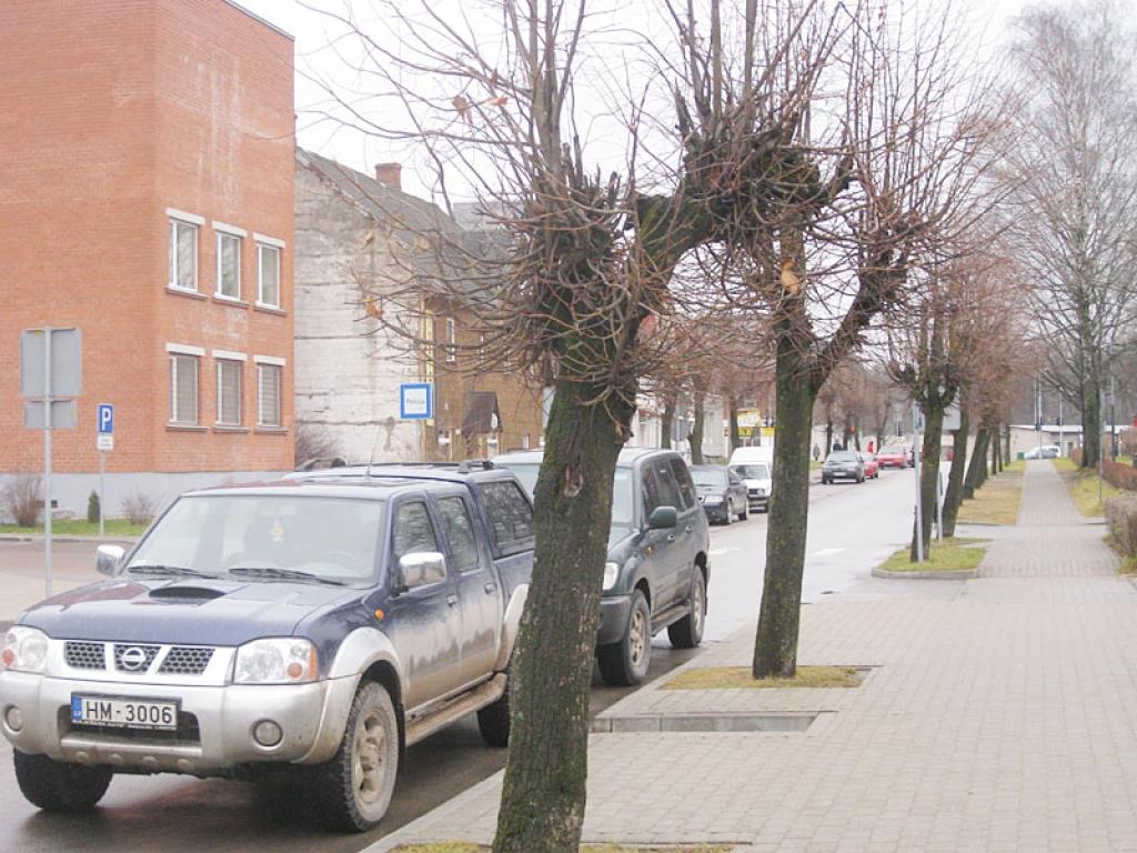 Autors: Gatis Bogdanovs (no arhīva)