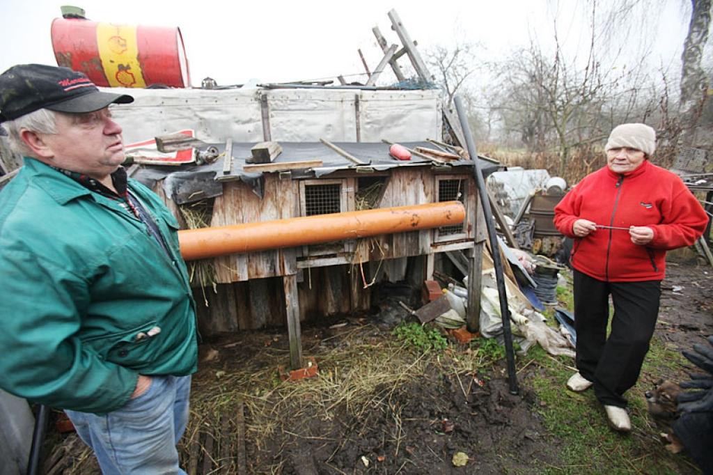 Pēc pirmā uzbrukuma saimniece vairāku trušu būdu durvis nodrošinājusi ar smagu rulli, kas dzīvniekam šoreiz izrādījies ciets rieksts. 
Autors: Gatis Bogdanovs 