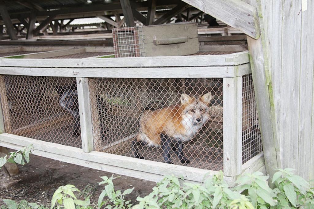 Autors: Gatis Bogdanovs 