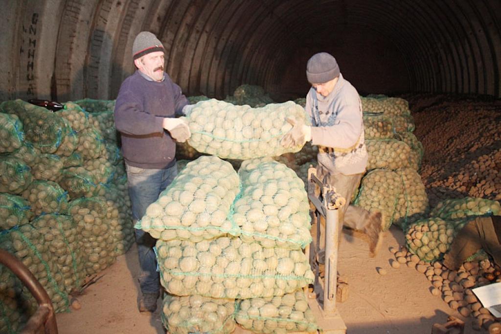 Vēl brīdis, un Galgauskas pagasta kooperatīvās sabiedrības 