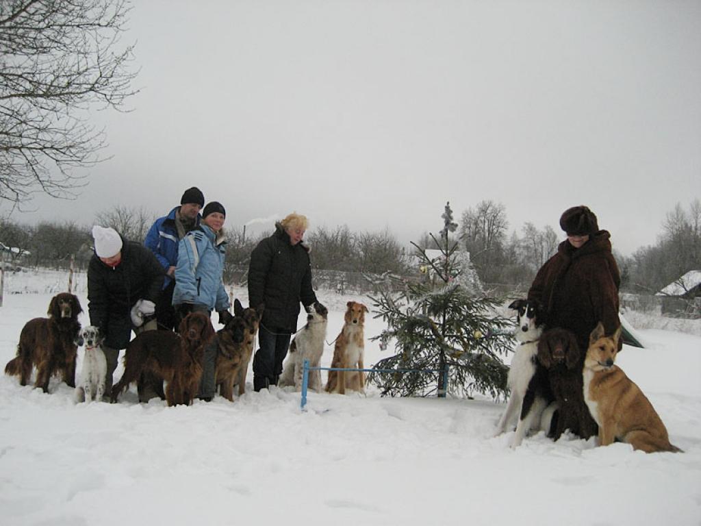 Kinoloģe Agra Riekstiņa ir tā, kura mudina saimniekus ar saviem mīluļiem būt kopā ne tikai ikdienā, ne tikai mācībās un sadzīvē, bet arī, svinot svētkus.
Autors: Diāna Odumiņa