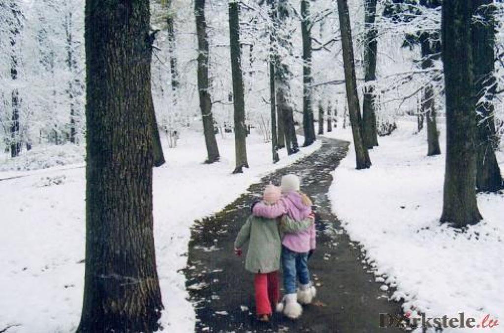 Anitas Līberes foto ieguva 1.vietu.
Autors: No personiskā albuma