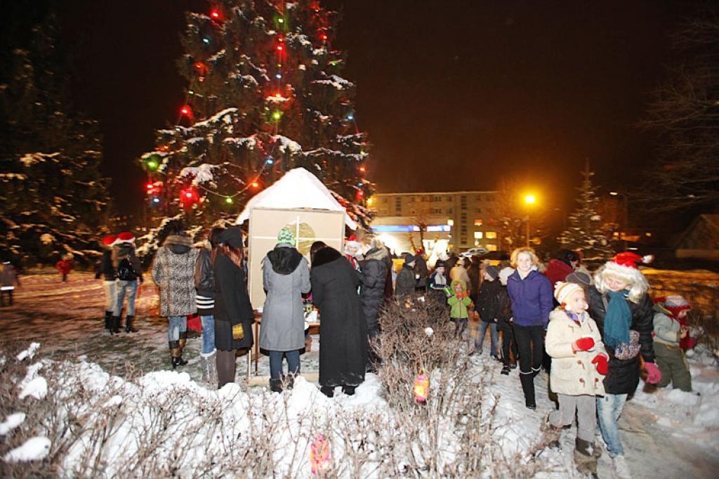Pēc vairāku gadu pārtraukuma atkal varēja ieraudzīt iezaigojamies krāsainas spuldzīšu gaismiņas zaļajā milzu eglē, kas aug ģimnāzijas pagalmā.
Autors: Gatis Bogdanovs 