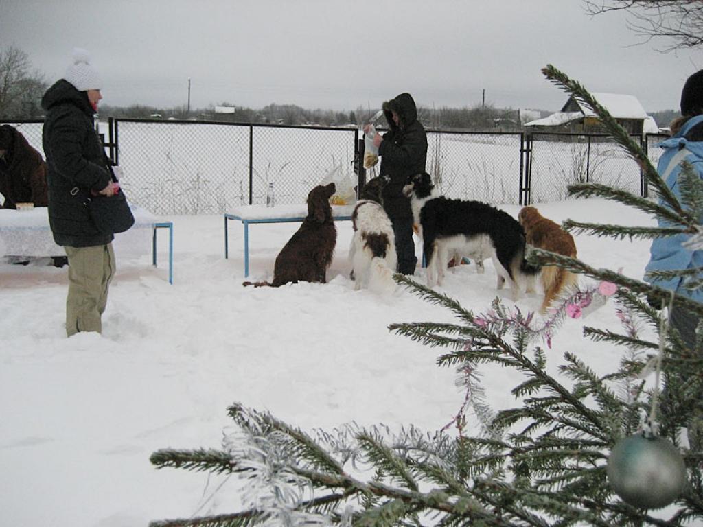 Autors: Diāna Odumiņa