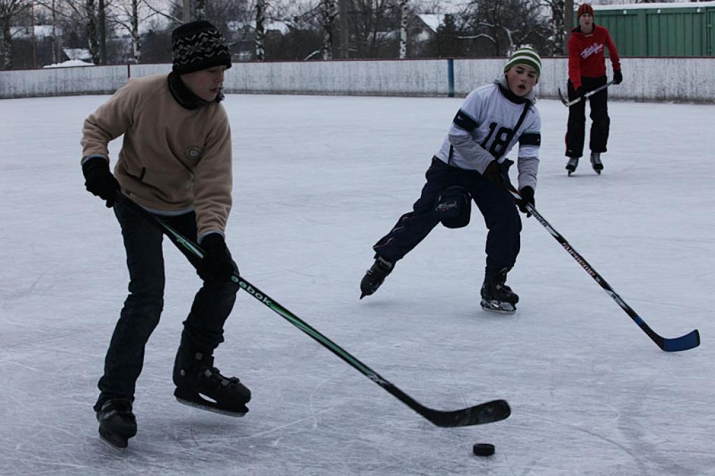 Autors: Gatis Bogdanovs